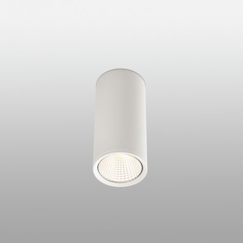 Paviršiniai lubų šviestuvai, REL-P LED Baltas paviršinis šviestuvas LED 15W 2700K 64198