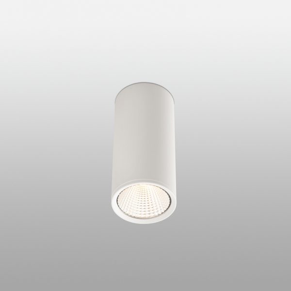 Paviršiniai lubų šviestuvai, REL-P LED Baltas paviršinis šviestuvas LED 15W 2700K 64198