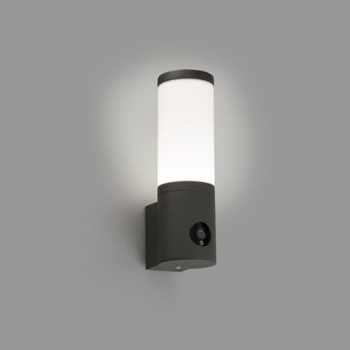 Sieniniai lauko šviestuvai, ORWELL LED 8W 3000K Tamsiai pilkos spalvos sieninis lauko šviestuvas su kamera 75701 IP54