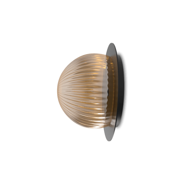 ROBIN lamps, Sieninis šviestuvas Roi ceiling disc  ROBIN 2725 Robin