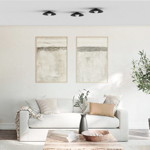 ROBIN lamps, Lubinis šviestuvas Randa ceiling mono Juodai matinis ROBIN 4484 Robin