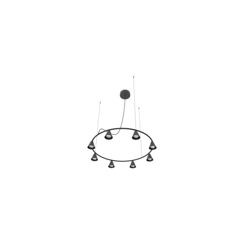 ROBIN lamps, Pakabinamas šviestuvas Rimini chandelier circular fixed | DALI Juodai matinis ROBIN 5818 Robin