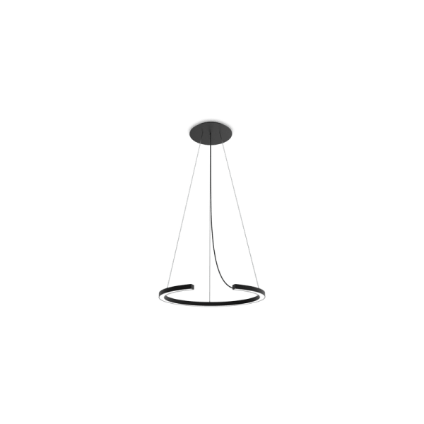 ROBIN lamps, Pakabinamas šviestuvas Roberta 27K 65 | DALI Juodai matinis ROBIN 4132 Robin